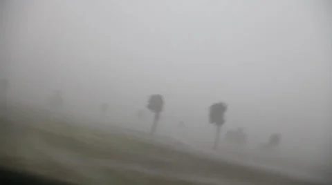 Intense Florida Hurricane Winds Stock Footage