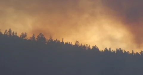 Intense Forest Fire with Smoke-Filled Sky, forest fire Stock Footage 78015815
