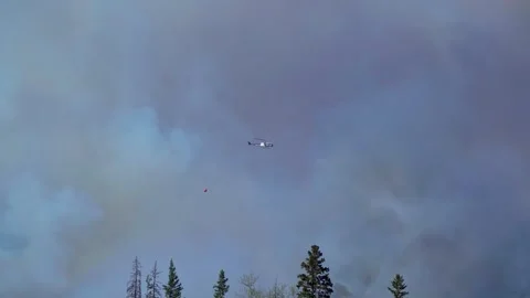 Intense Forest Fire with Smoke Plume Against Blue Sky Video stock 308600106