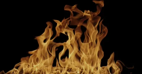 Intense Ground Fire with Natural Flames Stock Footage 340073293
