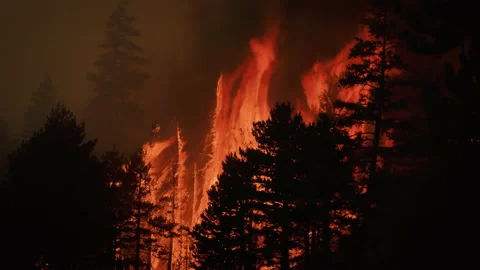 Intense Ground level POV of the nightmare of a Hellish wind driven Fire Stock Footage 201815399
