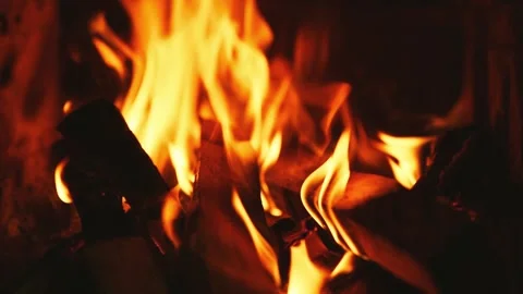 Intense orange flames dancing upward in dramatic fire display Stock Footage 317158226