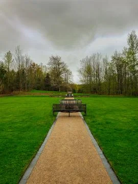 Intense. Stock Photos