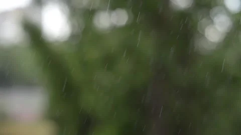 Intense rain is falling on the background of a blurred green tree. Stock Footage 159103716