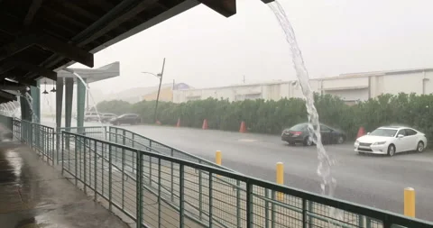 Intense rain raining storm thunderstorm flooding downpour Bywater New Orleans Stock Footage 140815677