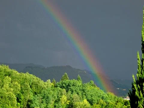 Intense rainbow above forest Stock Photos