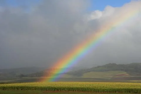 Intense Rainbow Stock Photos
