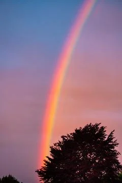 Intense rainbow Stock Photos