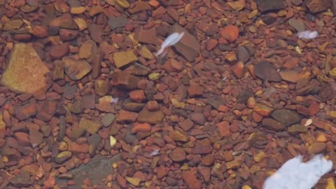 Intense red rocks in a pool in Karijini NP Stock Footage 71108663
