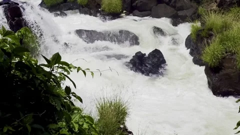 Intense River Rapids with Strong Wind and Lush Green Rocks Stock Footage 315073563