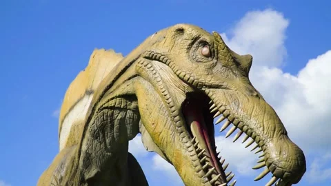 Intense slow motion of historical beast with eyes that has no colour Stock Footage 224475966