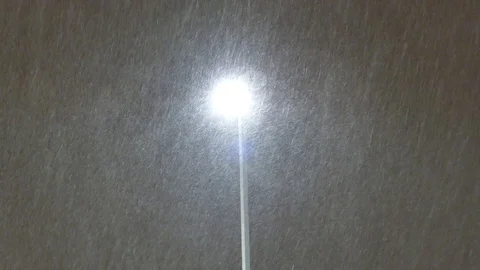Intense snow falling Stock Footage 125548805