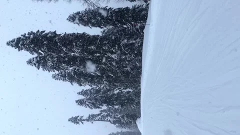 Intense snowfall covers the ski slope. Large snowflakes slowly fall from the sky Stock Footage 256605434