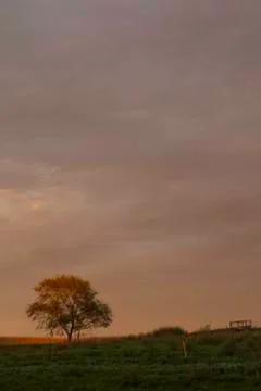 Intense sunset Stock Photos