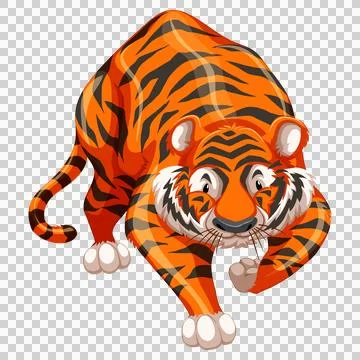 Intense tiger prowling forward on transparent background. 스톡 일러스트
