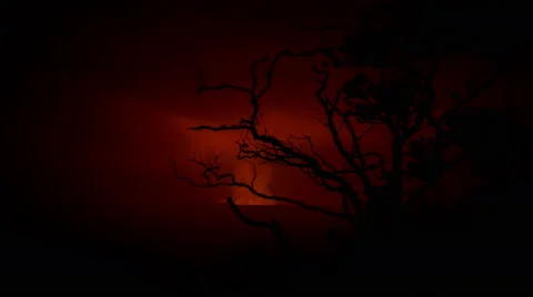 Intense time lapse tracking reveal shot Kilauea Volcano crater through brush  Vidéo 50543988