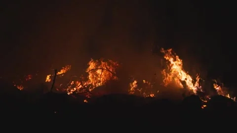 Intense wildfire flames at night Stock Footage 317076827