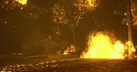 Intense wildfires engulfing forested area during nighttime event Stock Illustration