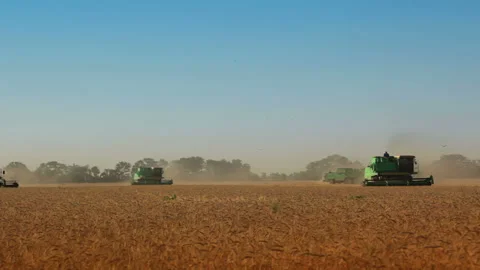 Intensive many harvesters Stock-Footage 106466141