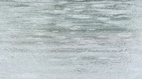 Intensive rain drop on the pond surface Stock Footage 51796801