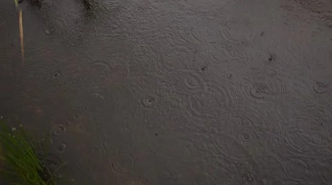 Intensive rain water drops falling on lake pond Stock Footage 56058127