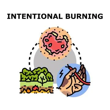 Intentional burning causing environmental damage and human injury Stockillustratie