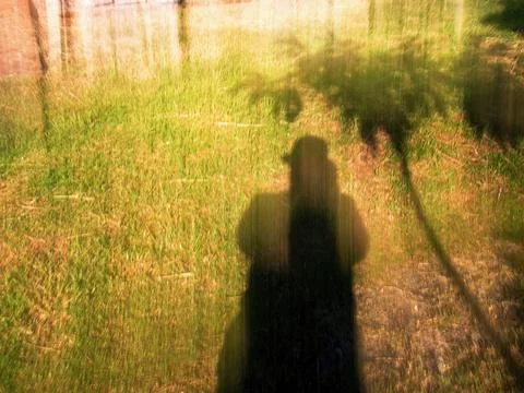 Intentional camera movement of  a human and trees shadows captured in a fores Stock Photos