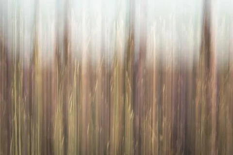Intentional camera movement image of wheat, lavender, and sunflowers. Foto stock