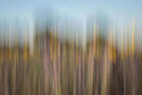 Intentional camera movement image of wheat, lavender, and sunflowers. Stock Photos