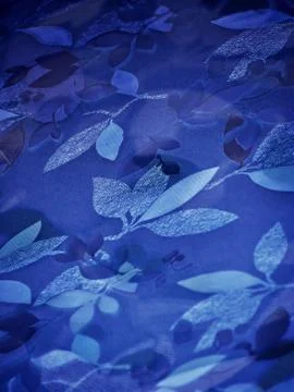 Intentional Camera Movement Stock Photos