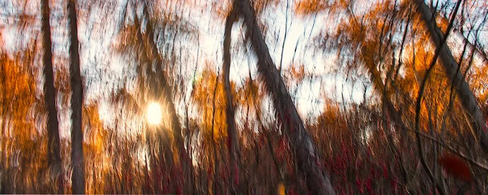 Intentional Camera Movement Stock Photos