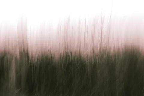 Intentional Camera Movement Stock Photos