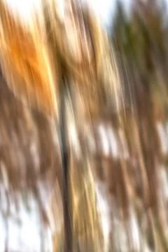 Intentional Camera Movement Stock Photos
