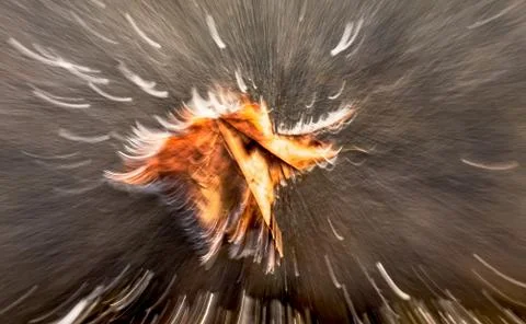 Intentional Camera Movement Stock Photos