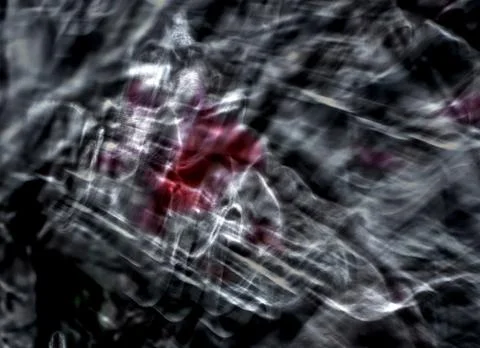 Intentional Camera Movement Stock Photos