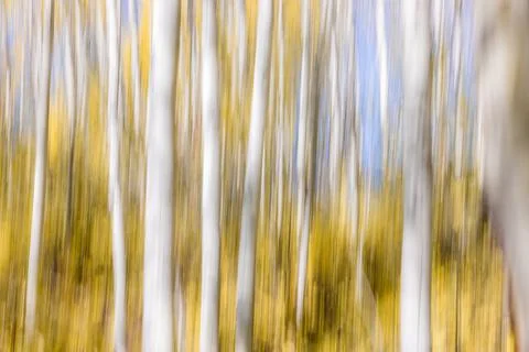 Intentional movement as a fall background Stock Photos