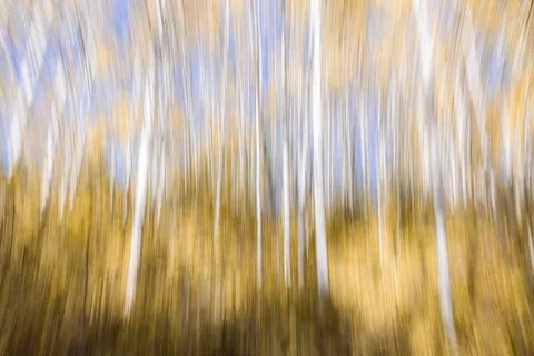 Intentional movement as a fall background Stock Photos