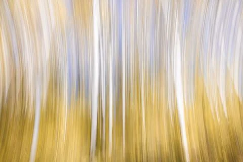 Intentional movement as a fall background Stock Photos