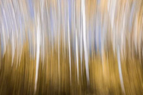 Intentional movement as a fall background Stock Photos