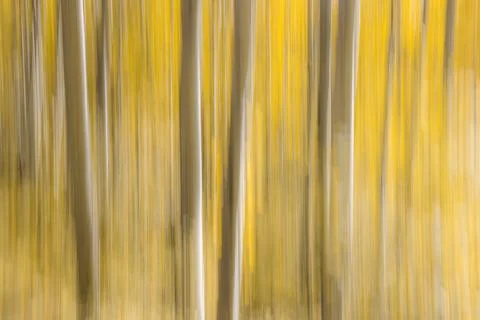 Intentional movement as a fall background Stock Photos