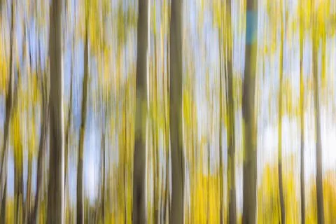 Intentional movement as a fall background Stock Photos