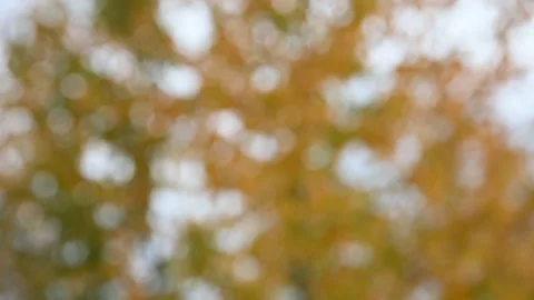 Intentionally out of focus scene of orange, white and green colors  Stock Footage 142464578