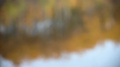 Intentionally out of focus view of orange colored autumn leaves reflecting Stock Footage 145104377