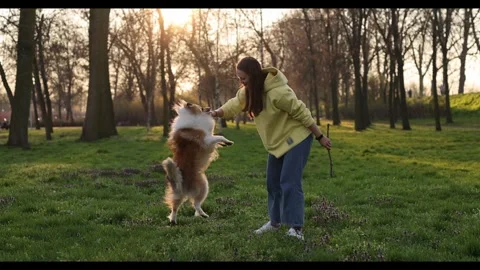 Interaction between dog and owner. Girl playing with her pet outdoors. Stock Footage 240424181
