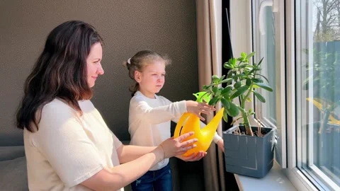 Interaction between mother and her little daughter as watering potted plants  Stock Footage 310135190