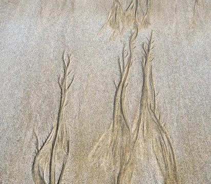 The interaction of the tide with the sand creates delicate drawings Stock Photos