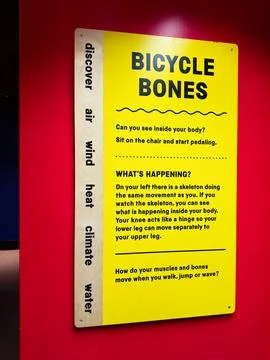 Interactive bicycle bones exhibit sign about anatomy and movement at a chil.. Stock Photos