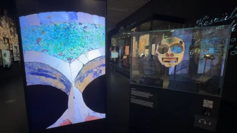 Interactive Digital Museum Display Showing Colorful Ocean Imagery Stock Footage 346434294