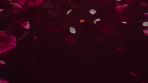 Interactive Flower Projection reacting to Movement Vidéo 333399870