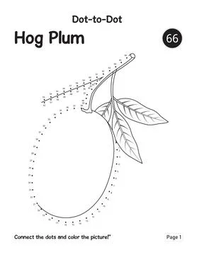 Interactive Kids Activity Featuring Hog Plum Connect The Dots Worksheet Page Stock Illustration